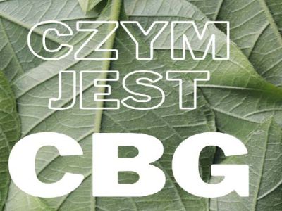 CBG – właściwości, działanie, opinie. Wszystko, co chcesz o nim wiedzieć!