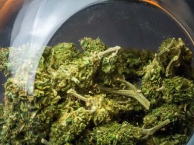 CBD – co to jest i jak działa? Sprawdź, co warto wiedzieć o kannabidiolu (CBD)